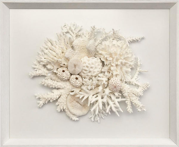 Natural Coral in White Wall Art